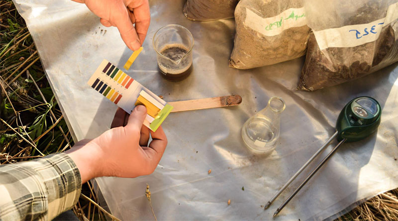 Best Soil Test Kits