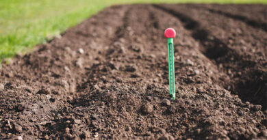 Best Soil Thermometers