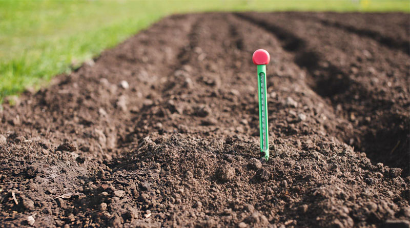 Best Soil Thermometers