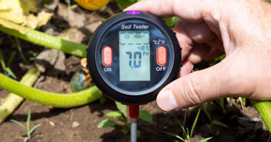 Best Soil pH Test Kits