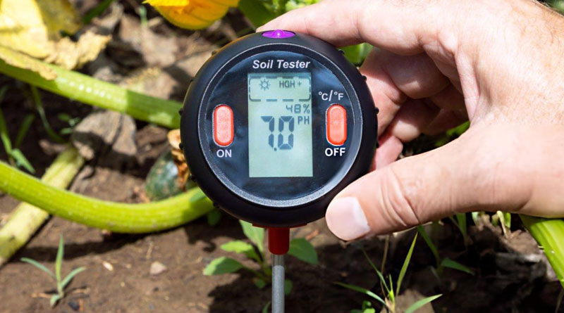Best Soil pH Test Kits