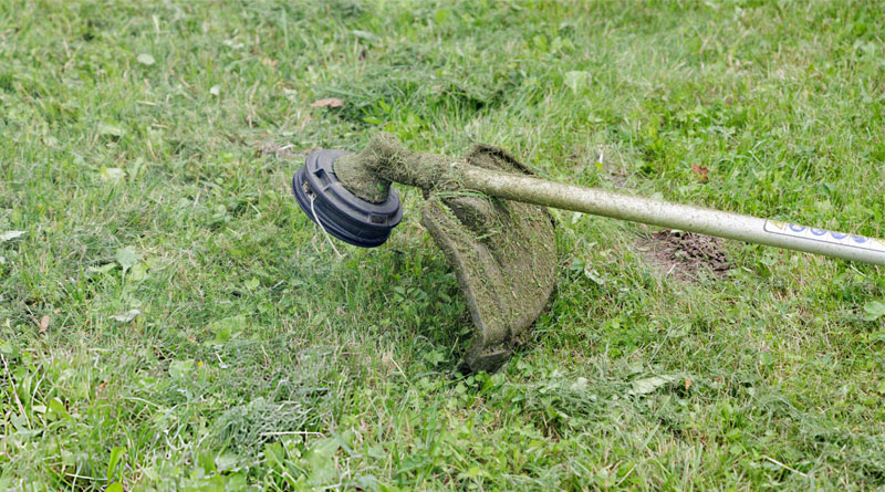 Best String Trimmers For Edging