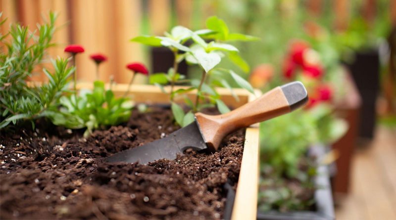 Best Weeders For Garden
