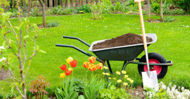 Best Wheelbarrows For Gardening