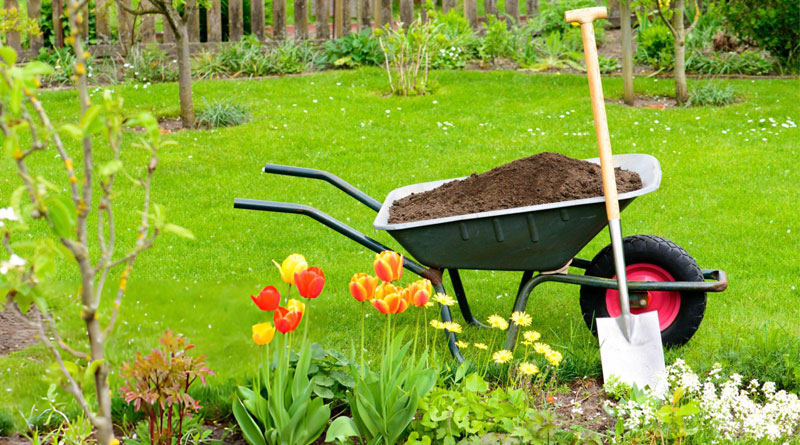 Best Wheelbarrows For Gardening