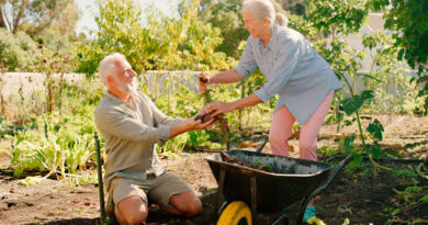 Best Wheelbarrows For Seniors