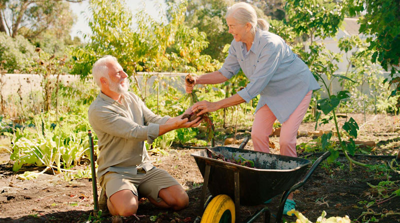 Best Wheelbarrows For Seniors