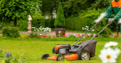 Best Budget Lawn Mowers