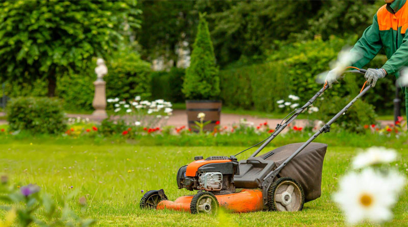 Best Budget Lawn Mowers