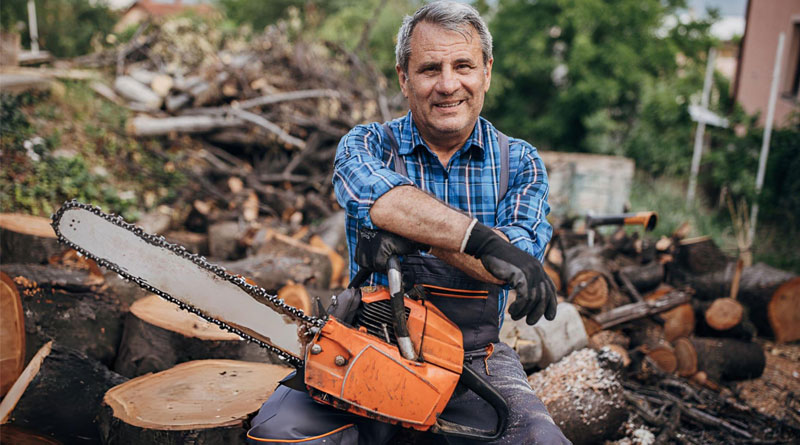 Best Chainsaws For Seniors