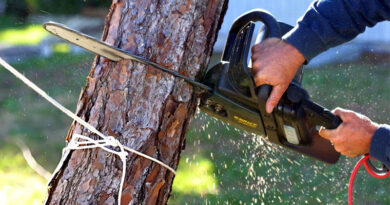 Best Electric Chainsaws For Cutting Trees