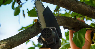 Best Electric Hand Saws For Cutting Trees