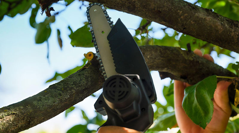 Best Electric Hand Saws For Cutting Trees