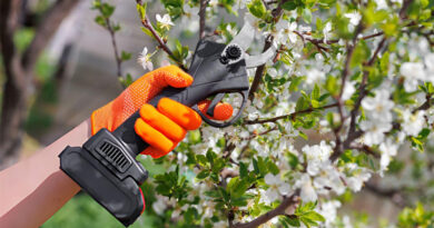 Best Electric Pruning Shears
