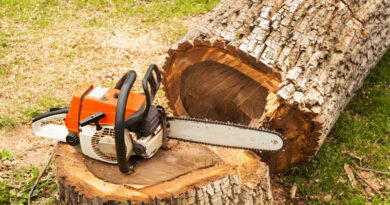 Best Gas Chainsaws For Cutting Trees