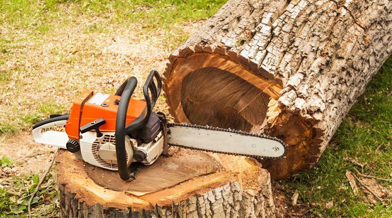 Best Gas Chainsaws For Cutting Trees