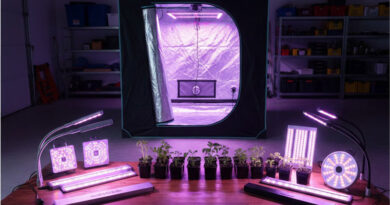 Best Grow Lights For 4x4 Tent