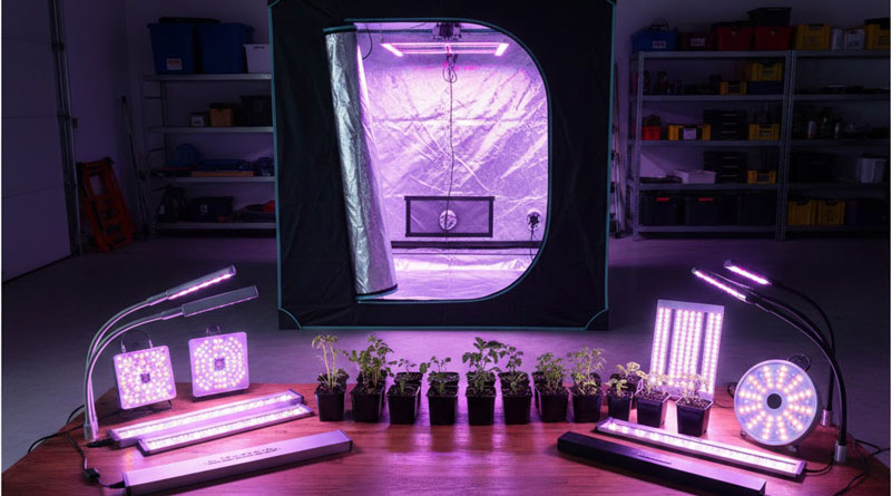 Best Grow Lights For 4x4 Tent