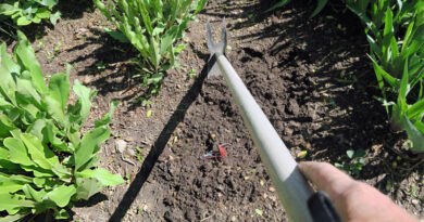 Best Long Handled Weeding Tools