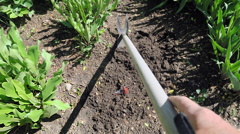 Best Long Handled Weeding Tools