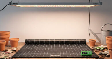 Best Seedling Heat Mats
