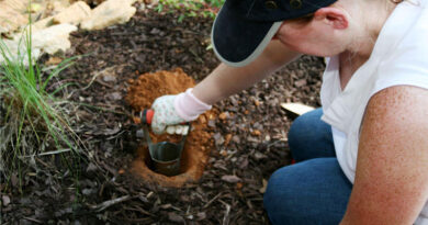 Best Bulb Planter Tools