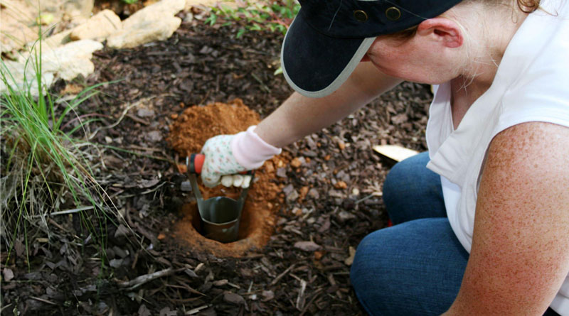 Best Bulb Planter Tools